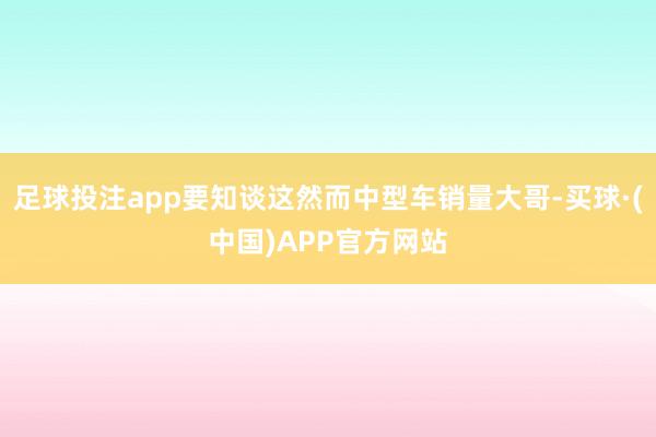 足球投注app要知谈这然而中型车销量大哥-买球·(中国)APP官方网站