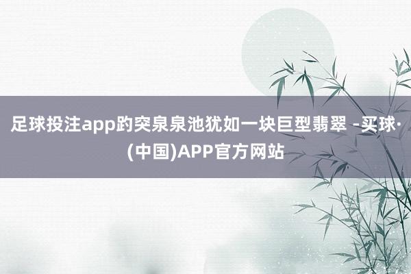 足球投注app趵突泉泉池犹如一块巨型翡翠 -买球·(中国)APP官方网站