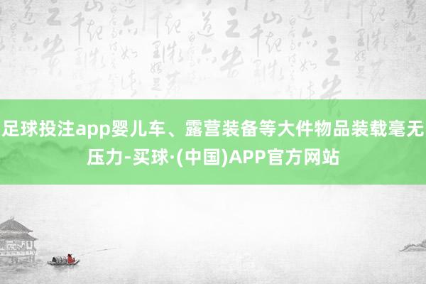 足球投注app婴儿车、露营装备等大件物品装载毫无压力-买球·(中国)APP官方网站