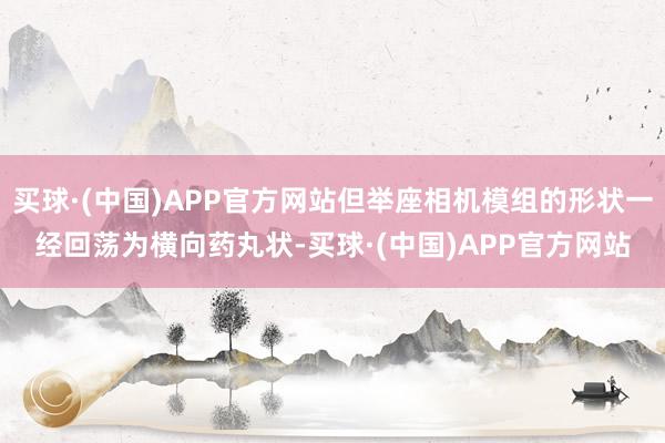 买球·(中国)APP官方网站但举座相机模组的形状一经回荡为横向药丸状-买球·(中国)APP官方网站
