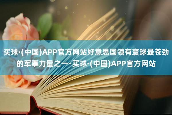 买球·(中国)APP官方网站好意思国领有寰球最苍劲的军事力量之一-买球·(中国)APP官方网站