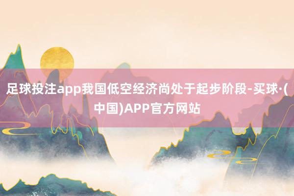 足球投注app我国低空经济尚处于起步阶段-买球·(中国)APP官方网站