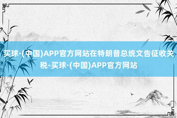 买球·(中国)APP官方网站在特朗普总统文告征收关税-买球·(中国)APP官方网站