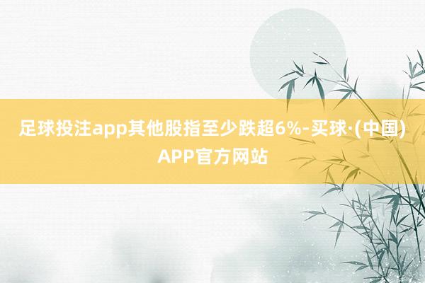 足球投注app其他股指至少跌超6%-买球·(中国)APP官方网站