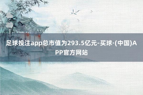 足球投注app总市值为293.5亿元-买球·(中国)APP官方网站