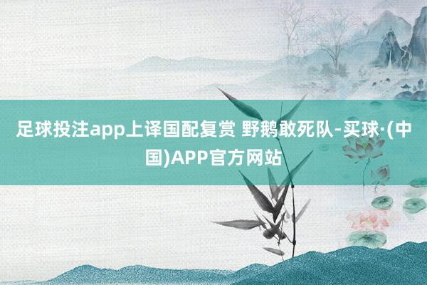足球投注app上译国配复赏 野鹅敢死队-买球·(中国)APP官方网站