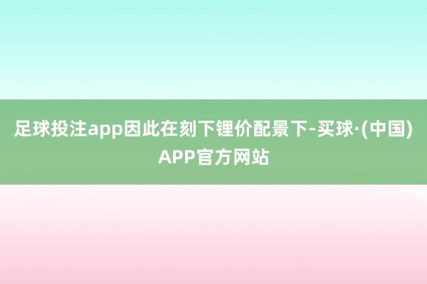 足球投注app因此在刻下锂价配景下-买球·(中国)APP官方网站