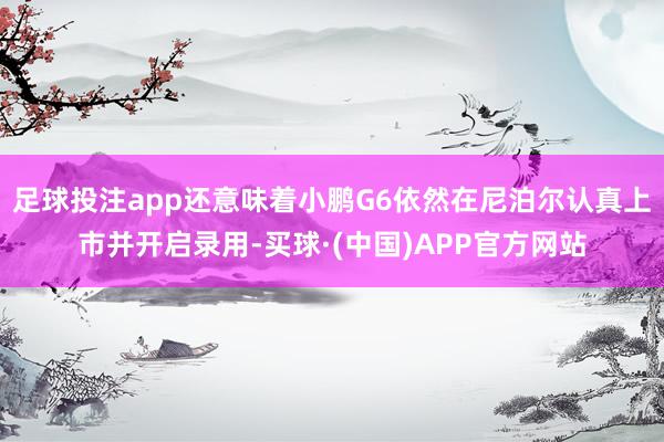 足球投注app还意味着小鹏G6依然在尼泊尔认真上市并开启录用-买球·(中国)APP官方网站