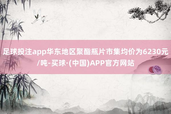 足球投注app华东地区聚酯瓶片市集均价为6230元/吨-买球·(中国)APP官方网站