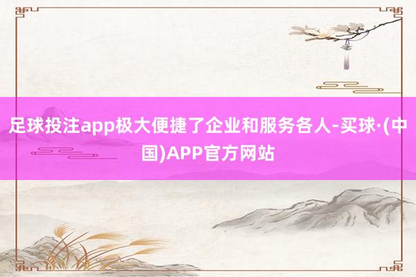 足球投注app极大便捷了企业和服务各人-买球·(中国)APP官方网站