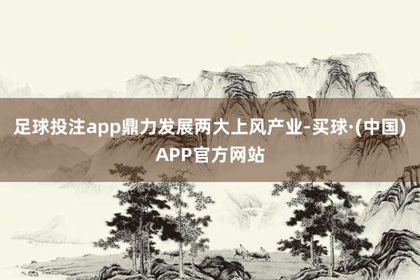 足球投注app鼎力发展两大上风产业-买球·(中国)APP官方网站