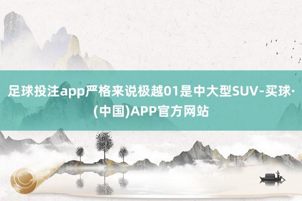 足球投注app严格来说极越01是中大型SUV-买球·(中国)APP官方网站