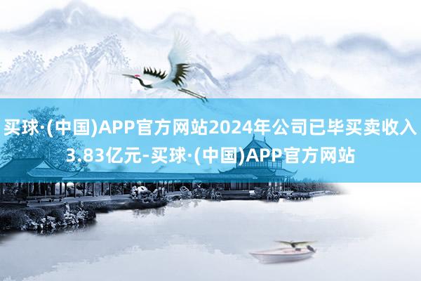 买球·(中国)APP官方网站2024年公司已毕买卖收入3.83亿元-买球·(中国)APP官方网站