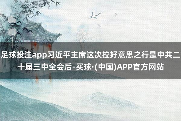 足球投注app习近平主席这次拉好意思之行是中共二十届三中全会后-买球·(中国)APP官方网站
