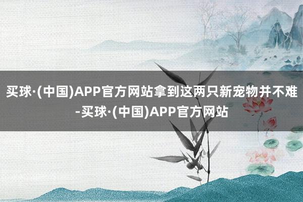买球·(中国)APP官方网站拿到这两只新宠物并不难-买球·(中国)APP官方网站