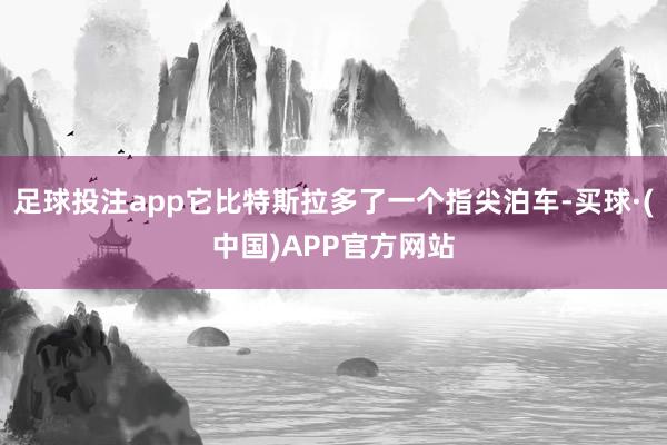足球投注app它比特斯拉多了一个指尖泊车-买球·(中国)APP官方网站