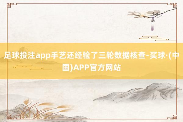 足球投注app手艺还经验了三轮数据核查-买球·(中国)APP官方网站