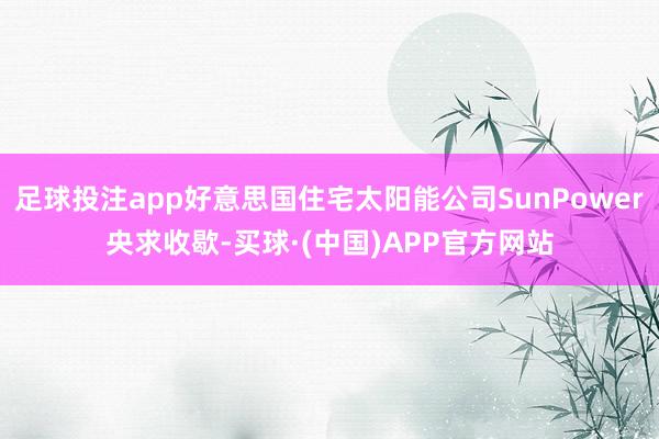 足球投注app好意思国住宅太阳能公司SunPower央求收歇-买球·(中国)APP官方网站
