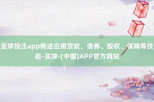 足球投注app概述应用贷款、债券、股权、保障等技能-买球·(中国)APP官方网站