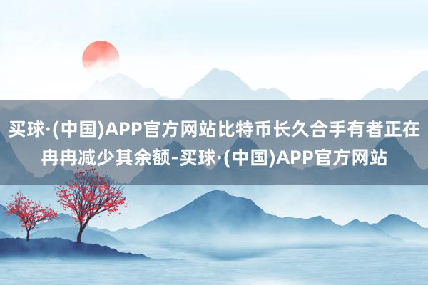 买球·(中国)APP官方网站比特币长久合手有者正在冉冉减少其余额-买球·(中国)APP官方网站