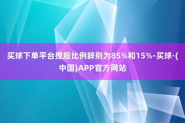 买球下单平台捏股比例辞别为85%和15%-买球·(中国)APP官方网站