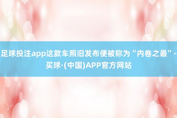 足球投注app这款车照旧发布便被称为“内卷之最”-买球·(中国)APP官方网站