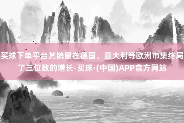 买球下单平台其销量在德国、意大利等欧洲市集终局了三位数的增长-买球·(中国)APP官方网站
