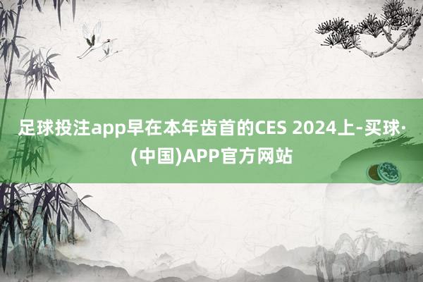 足球投注app早在本年齿首的CES 2024上-买球·(中国)APP官方网站