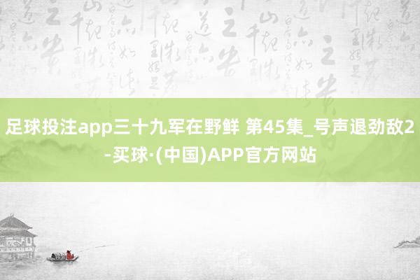 足球投注app三十九军在野鲜 第45集_号声退劲敌2-买球·(中国)APP官方网站