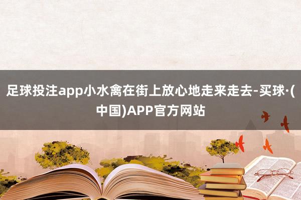 足球投注app小水禽在街上放心地走来走去-买球·(中国)APP官方网站