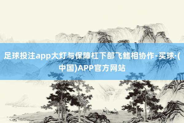 足球投注app大灯与保障杠下部飞鳍相协作-买球·(中国)APP官方网站