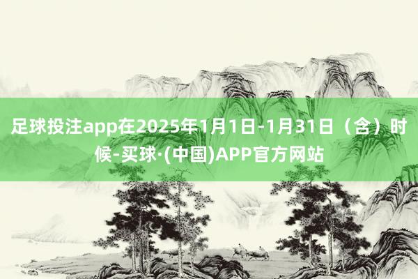 足球投注app在2025年1月1日-1月31日（含）时候-买球·(中国)APP官方网站
