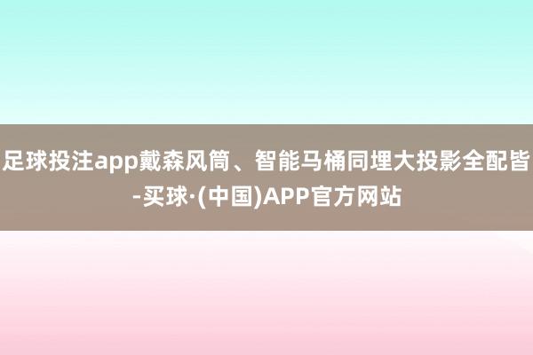 足球投注app戴森风筒、智能马桶同埋大投影全配皆-买球·(中国)APP官方网站