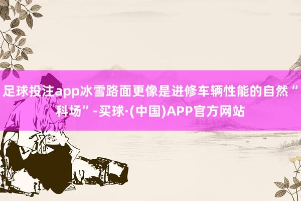 足球投注app冰雪路面更像是进修车辆性能的自然“科场”-买球·(中国)APP官方网站