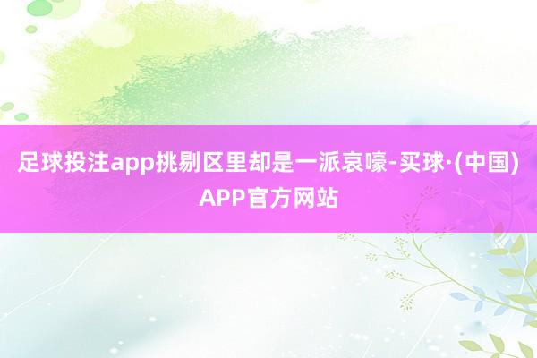 足球投注app挑剔区里却是一派哀嚎-买球·(中国)APP官方网站