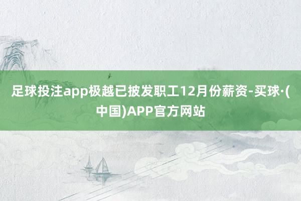 足球投注app极越已披发职工12月份薪资-买球·(中国)APP官方网站