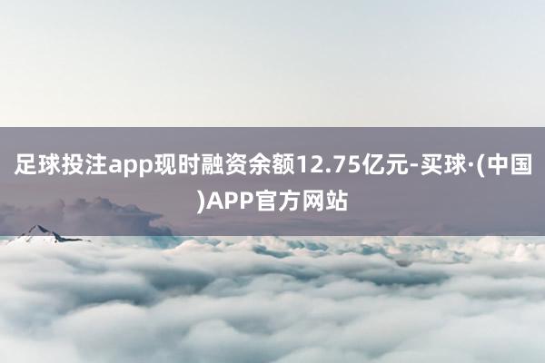 足球投注app现时融资余额12.75亿元-买球·(中国)APP官方网站