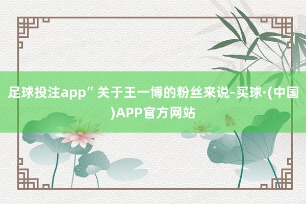 足球投注app”关于王一博的粉丝来说-买球·(中国)APP官方网站