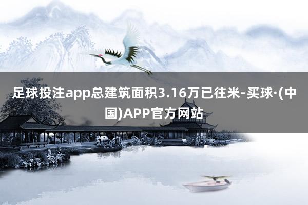 足球投注app总建筑面积3.16万已往米-买球·(中国)APP官方网站