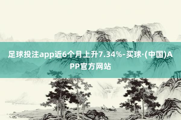 足球投注app近6个月上升7.34%-买球·(中国)APP官方网站