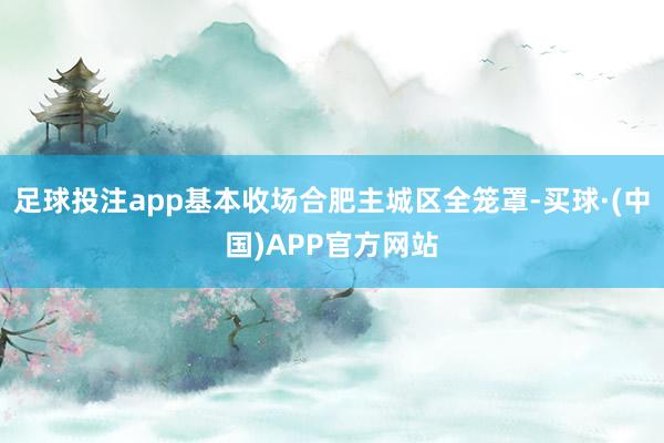 足球投注app基本收场合肥主城区全笼罩-买球·(中国)APP官方网站