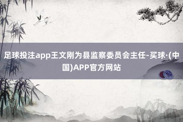 足球投注app王文刚为县监察委员会主任-买球·(中国)APP官方网站