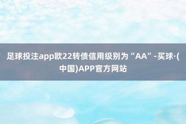 足球投注app欧22转债信用级别为“AA”-买球·(中国)APP官方网站