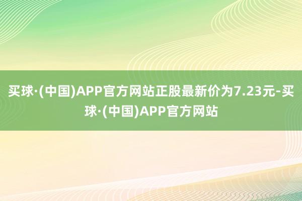 买球·(中国)APP官方网站正股最新价为7.23元-买球·(中国)APP官方网站