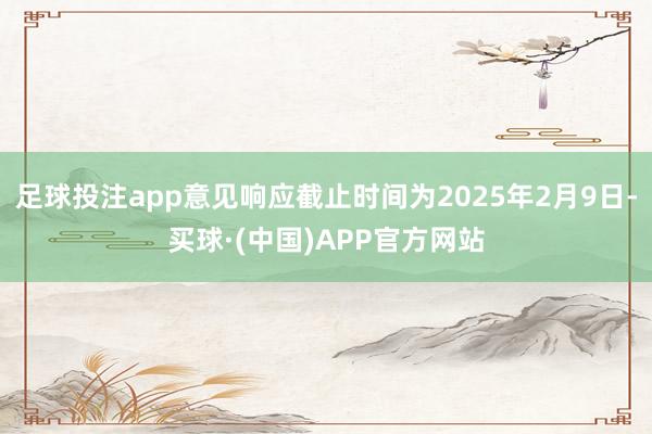 足球投注app意见响应截止时间为2025年2月9日-买球·(中国)APP官方网站