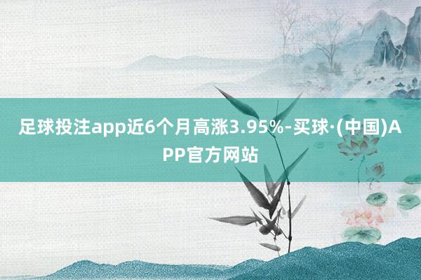 足球投注app近6个月高涨3.95%-买球·(中国)APP官方网站