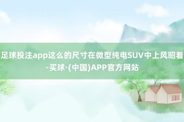 足球投注app这么的尺寸在微型纯电SUV中上风昭着-买球·(中国)APP官方网站