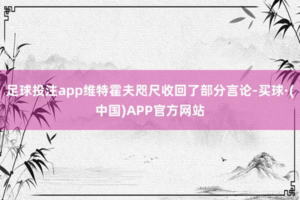 足球投注app维特霍夫咫尺收回了部分言论-买球·(中国)APP官方网站