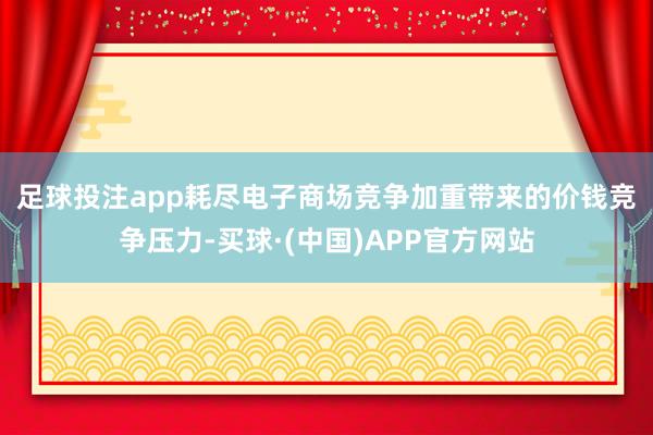 足球投注app　　耗尽电子商场竞争加重带来的价钱竞争压力-买球·(中国)APP官方网站