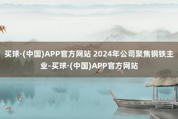 买球·(中国)APP官方网站 2024年公司聚焦钢铁主业-买球·(中国)APP官方网站